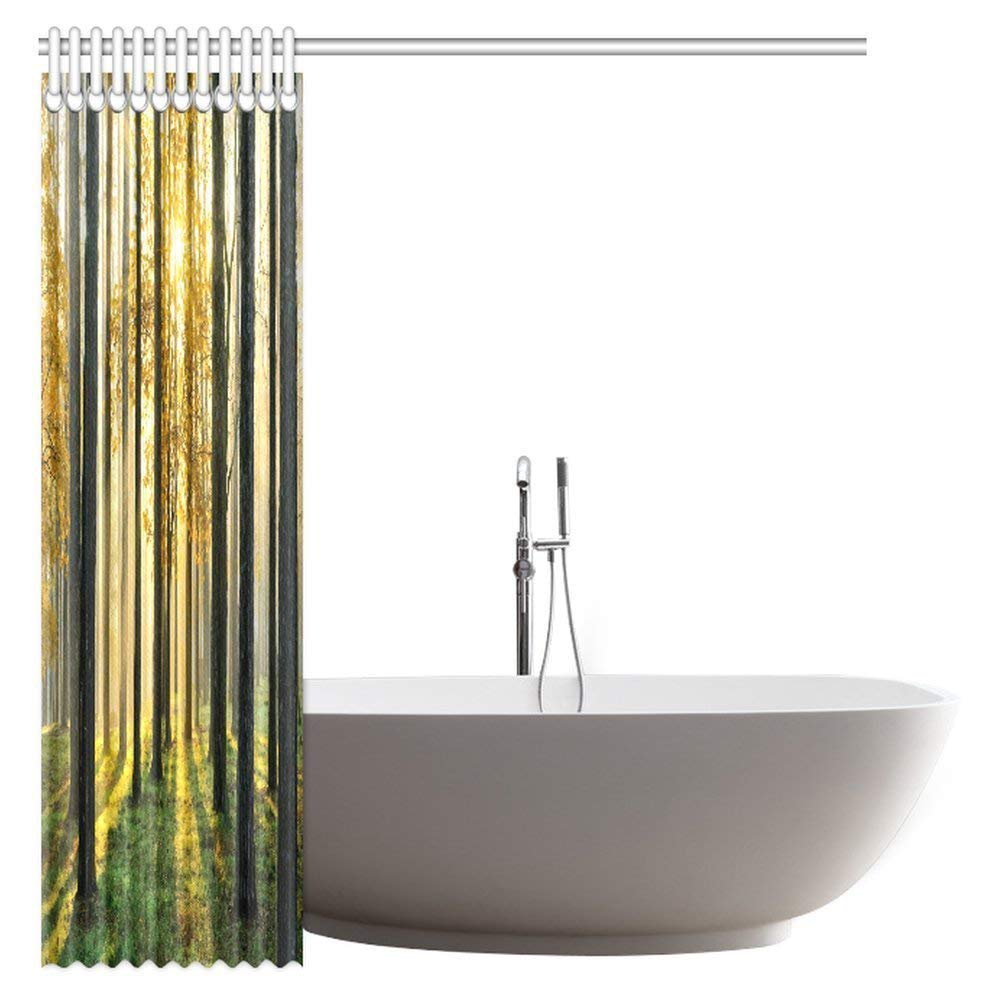 Nature Scene Decor Shower Curtain, Beautiful Morning Scene in the Forest with Sun Rays and Long Shadows Fabric Bathroom Set with Hooks