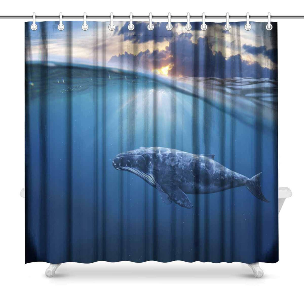 Whale in Half Air Art Decor Shower Curtain Set, 72 x 72 Inches