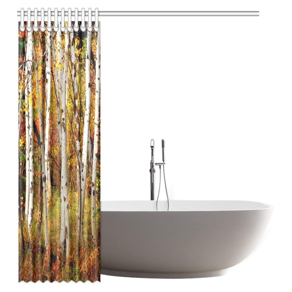 Fall Woodland Shower Curtain, White Fall Birch Trees with Autumn Leaves Growth Wilderness Ecology Calm View Fabric Bathroom Shower Curtain with Hooks