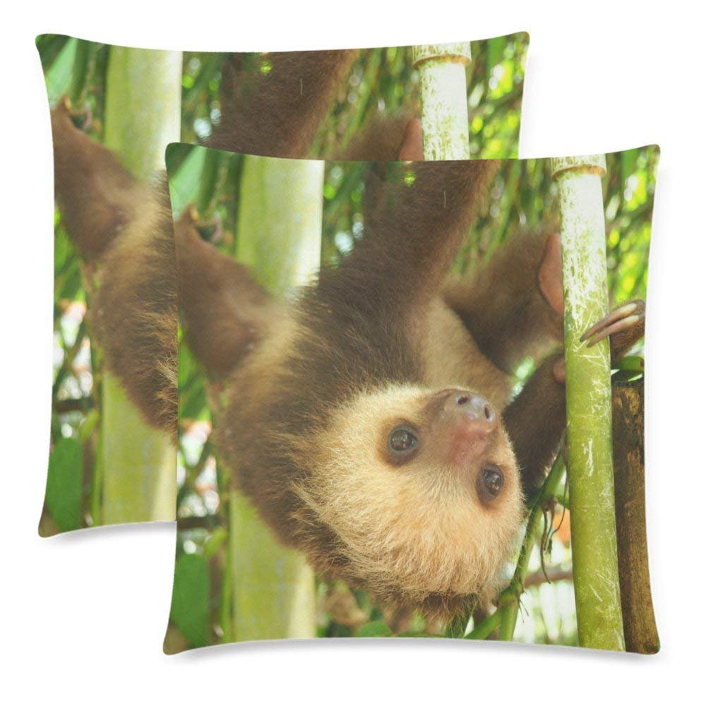 Baby Sloth Hanging on a Tree Branch Pillowcase Pillow Case Cover 18x18 Twin Sides, Bamboo Forest with Cute Animal Polyester Zippered Throw Cushion Cover Case Decorative, Set of 2