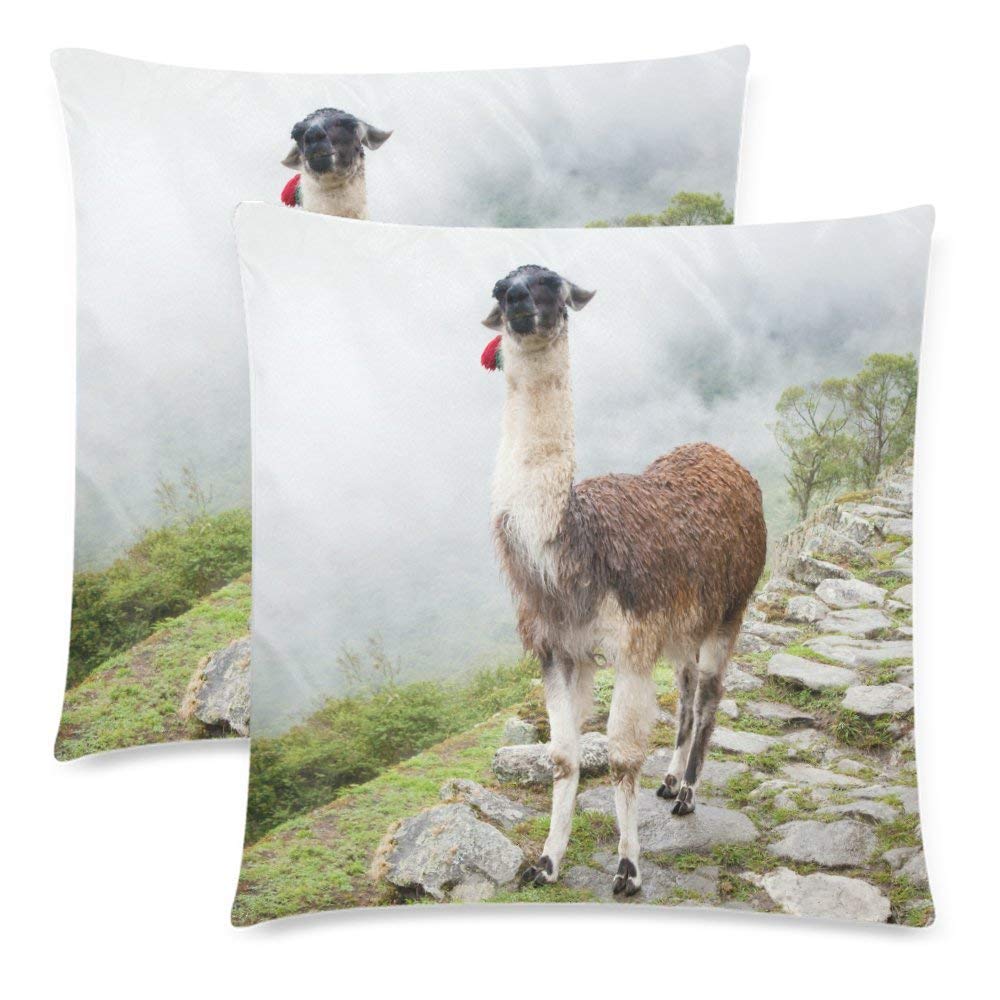 Llama at Lost City Pillowcase 18x18 Cushion Case Cover Twin Sides, Hipster Llama Animal Decor Zippered Throw Pillow Case Cover Decorative for Couch Bed, Set of 2