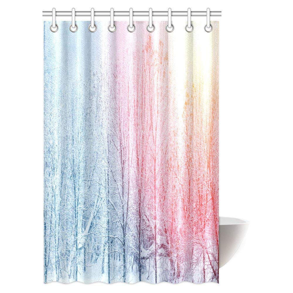 Winter Park Shower Curtain, Snowy Landscape with Frozen Leafless Trees Icy Snowflakes Hazy Wonderland Bathroom Shower Curtain Set with Hooks