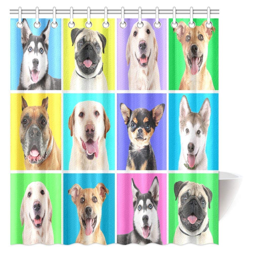 Portraits of Cute Dog Breeds on Colorful Backgrounds Profiles Pets Shepherd Terrier Labrador Domestic Animals Illustration, Fabric Bathroom Shower Curtain Set, 66 X 72 Inches