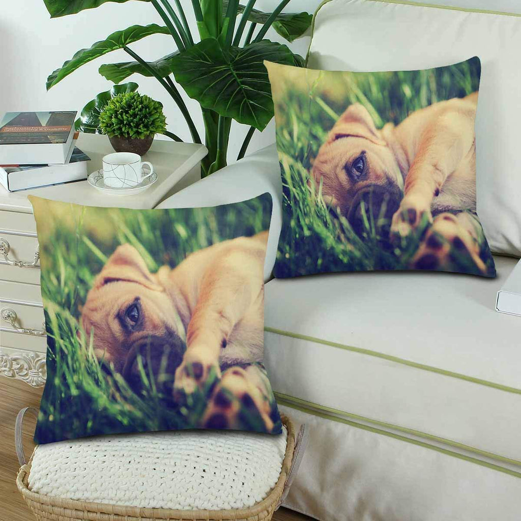 Cute Baby Pug Chihuahua Mix Puppy Pillowcase Throw Pillow Covers 18x18 Set of 2, Pillow Sham Cases Protector for Home Couch Sofa Bedding Decorative