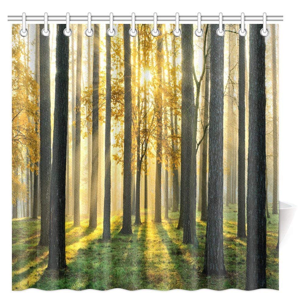 Nature Scene Decor Shower Curtain, Beautiful Morning Scene in the Forest with Sun Rays and Long Shadows Fabric Bathroom Set with Hooks