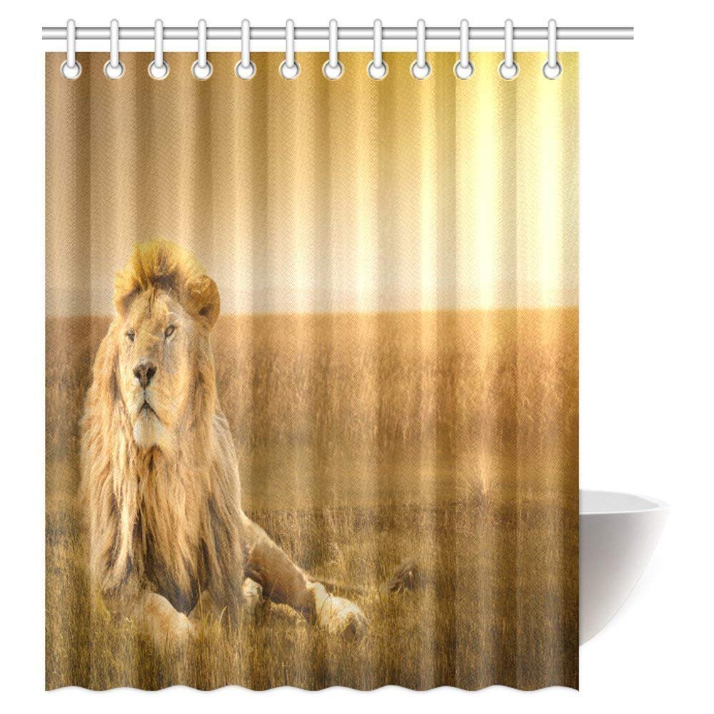 Animal Decor Shower Curtain, Big Male Lion Lying on the Grass Fabric Bathroom Decor Set with Hooks