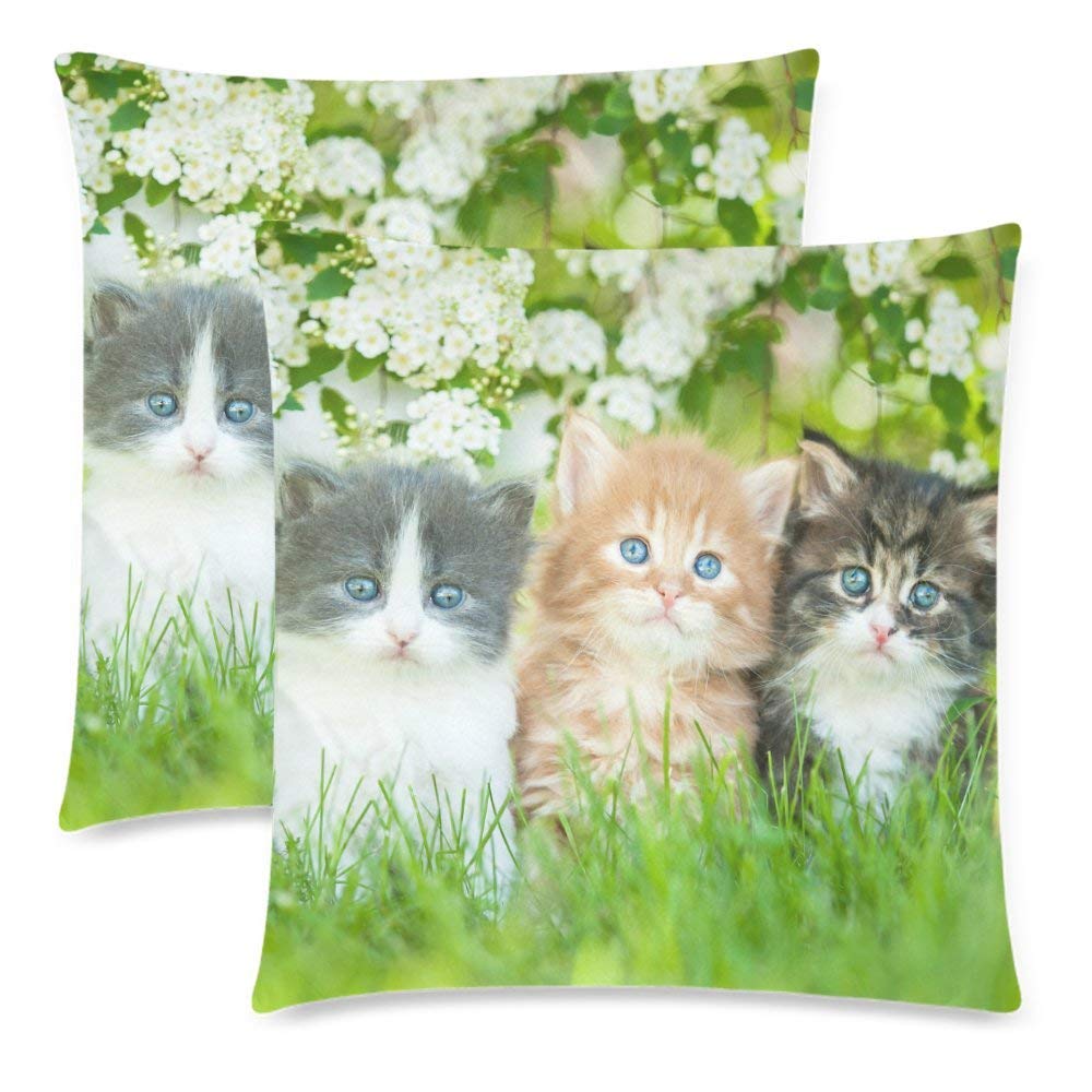 Cute Cat Kitten in Flower Grass Throw Pillowcase Cushion Cover 18x18 Twin Sides, White Flower Funny Animal Zippered Pillow Case Cover Decorative for Couch Bed, Set of 2