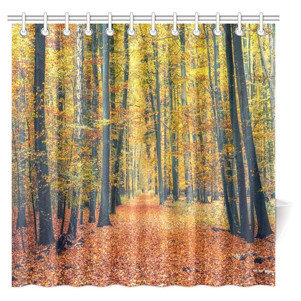 Farm House Decor Collection, Pathway in Colorful Autumn Forest Sunbeams Golden Leaves Trees Seasonal Scenics Print Fabric Bathroom Shower Curtain Set